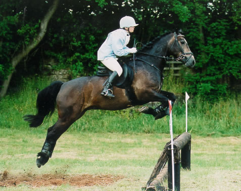 Area Horse Trials at Richmond 2003