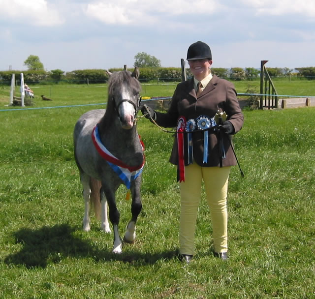 Spring Show 2004: The In hand Champion