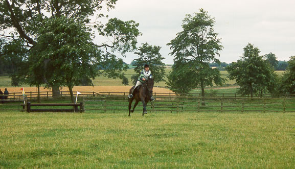 Cross Country at the Area