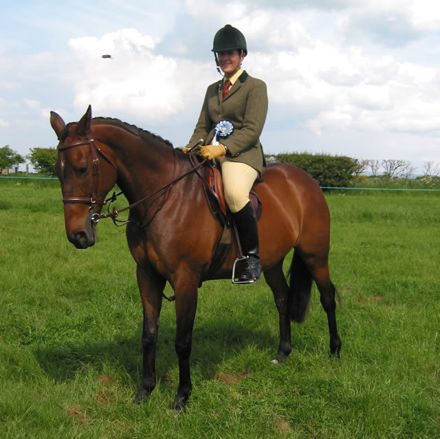 Spring Show 2004: Another Working Hunter