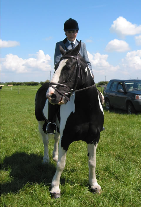 Spring Show 2004: Ridden Champ