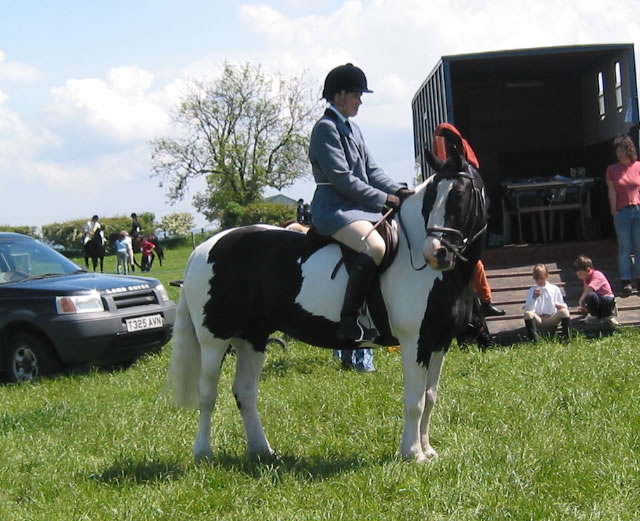 Spring Show 2004: Ridden Champ