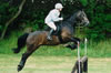 Click to see Area Horse Trials at Richmond 2003